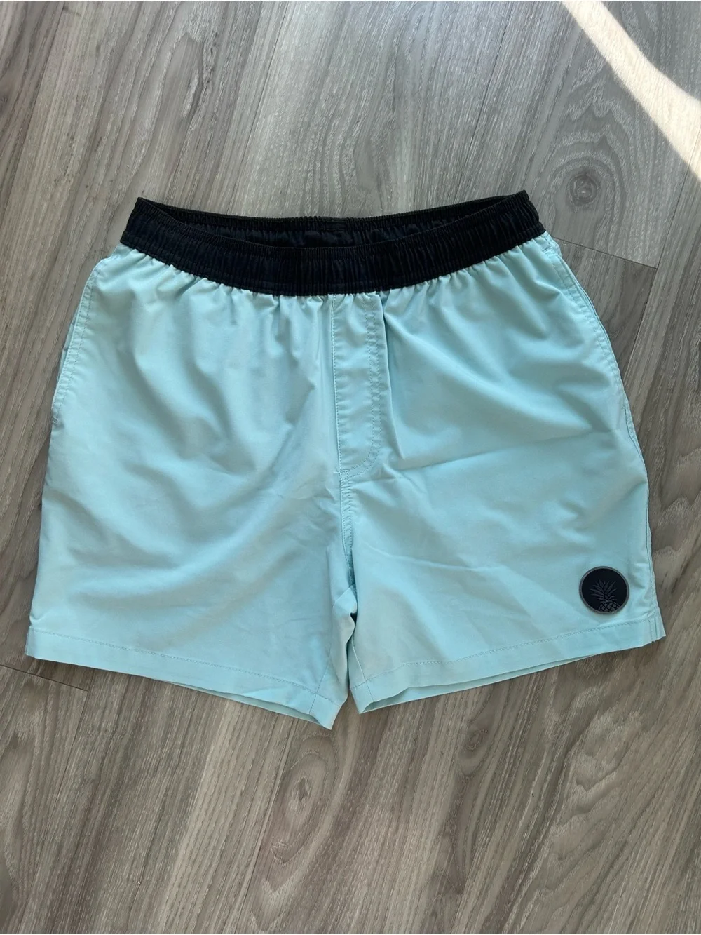 chubbies | Ultimate Training 5.5" Shorts in Light Aqua with Black Waistband (S) - Picture 7 of 10